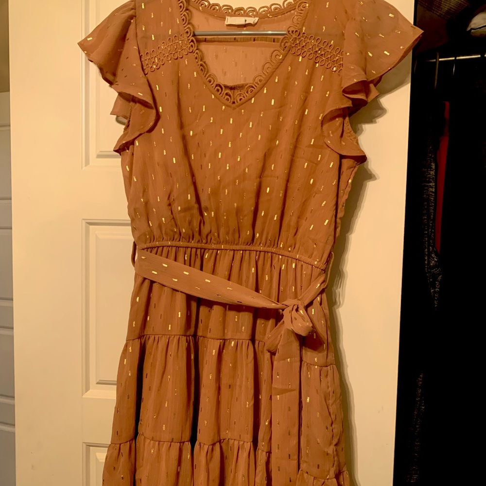 Blush Pink with Gold Accent Flirty Dress